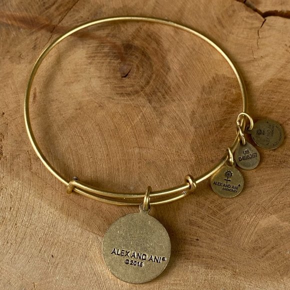 ALEX & ANI Friend Bracelet Energy Charm Bangle Set, Rafaelian Gold and Silver - Picture 3 of 9